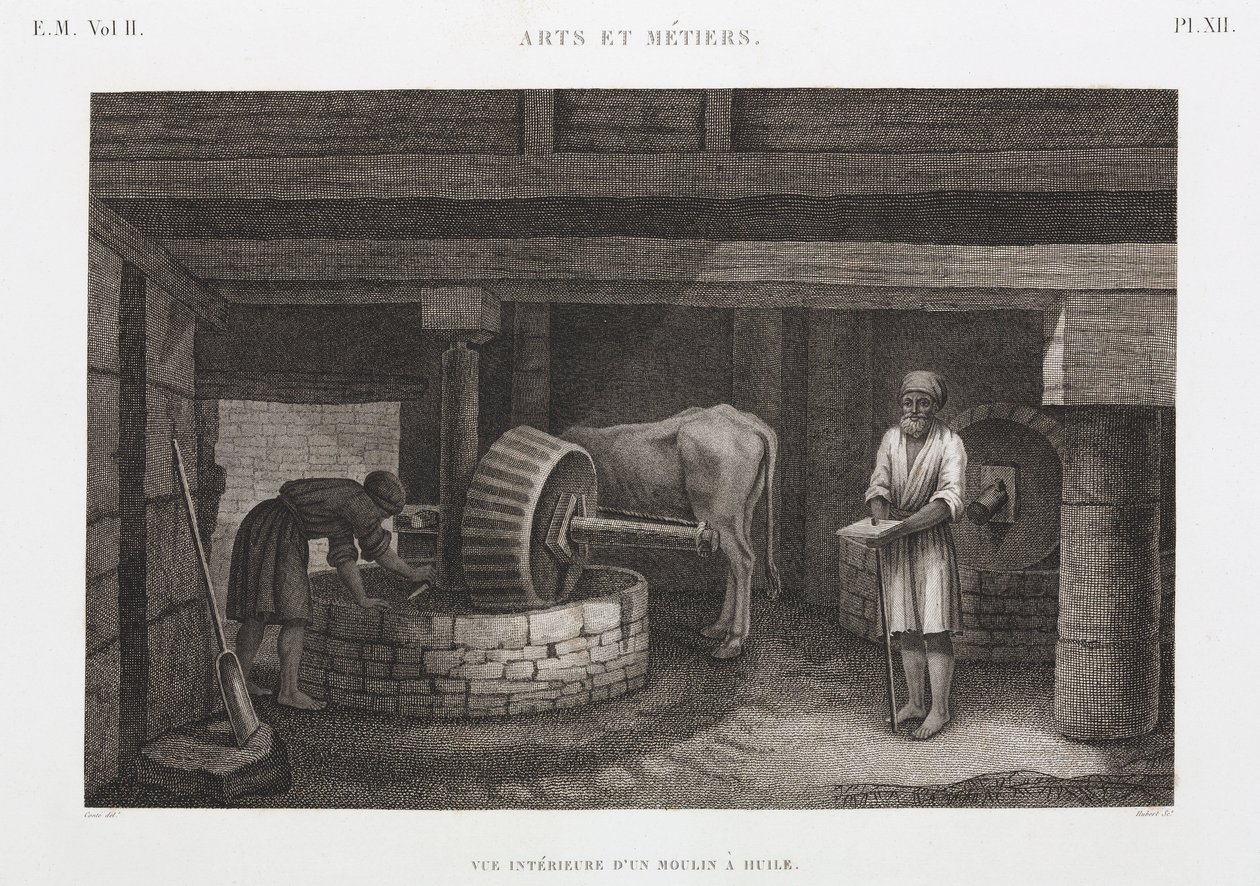 Öljyt, rasvat ja vahat Öljytehdas, Egypti, n. 1798 tekijältä Unbekannt