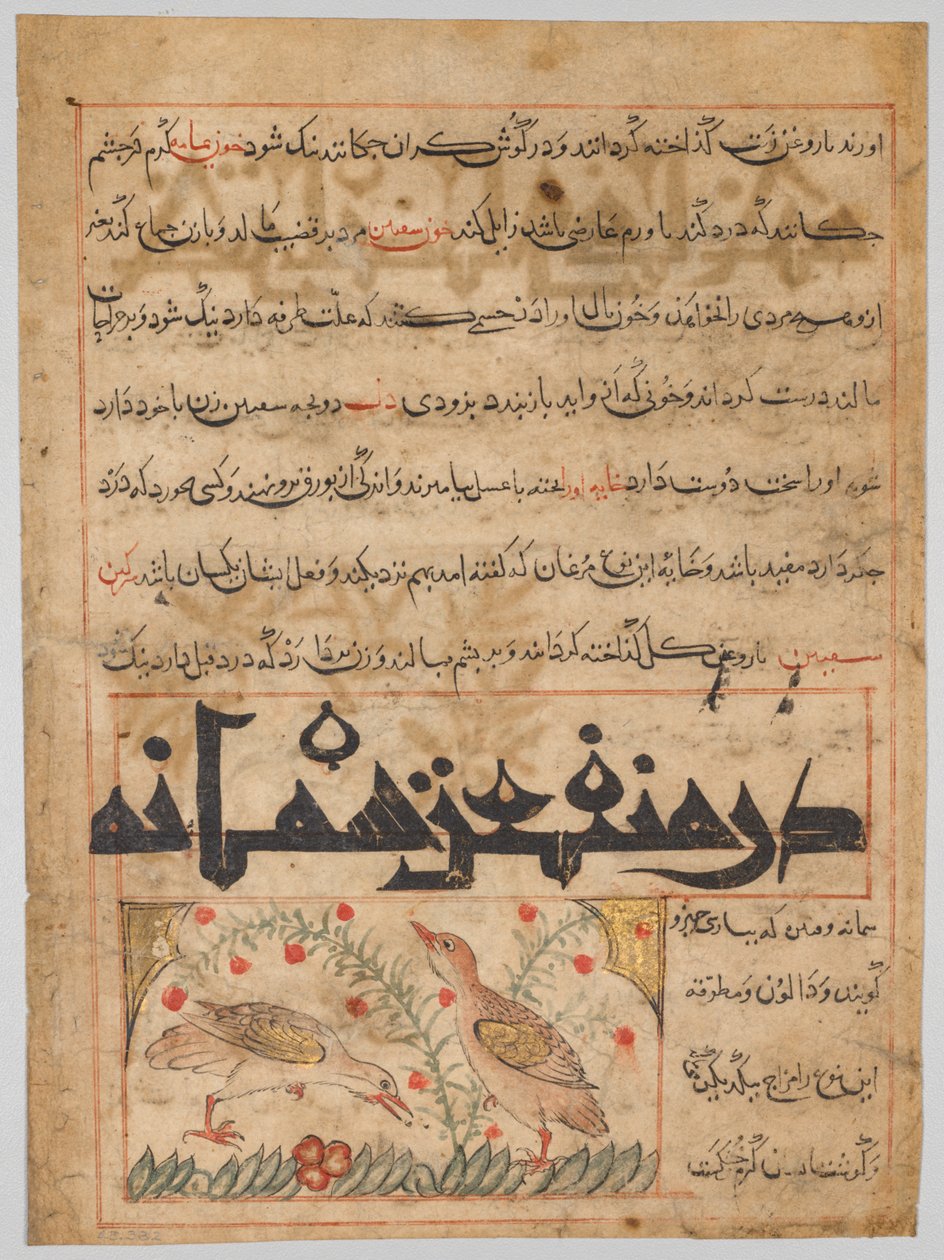 Viiriäisten hyödyistä verso Manafi al-Hayawanista..., c. 1300. tekijältä Unbekannt