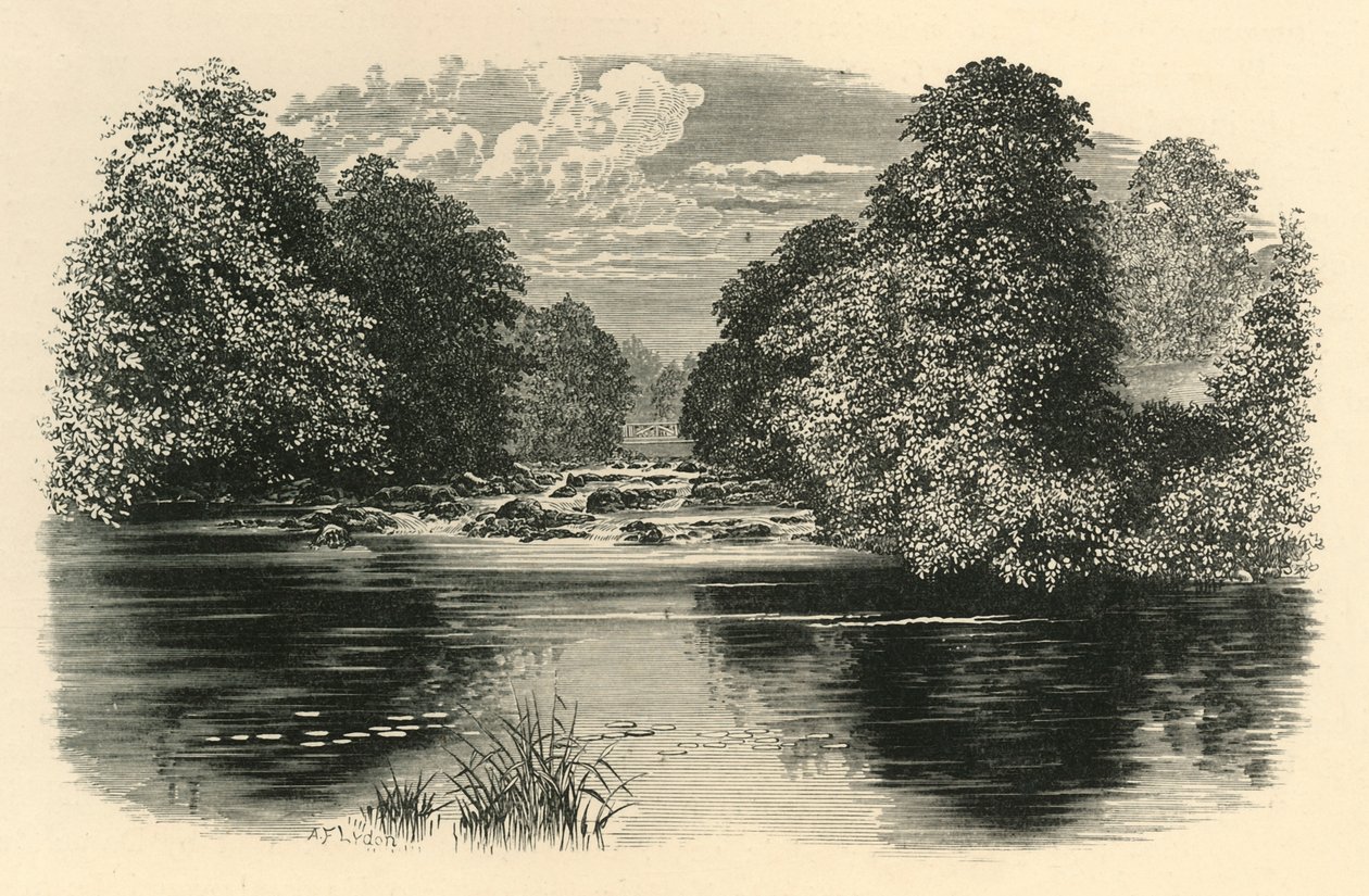 Brathaylla, 1890. tekijältä Unbekannt