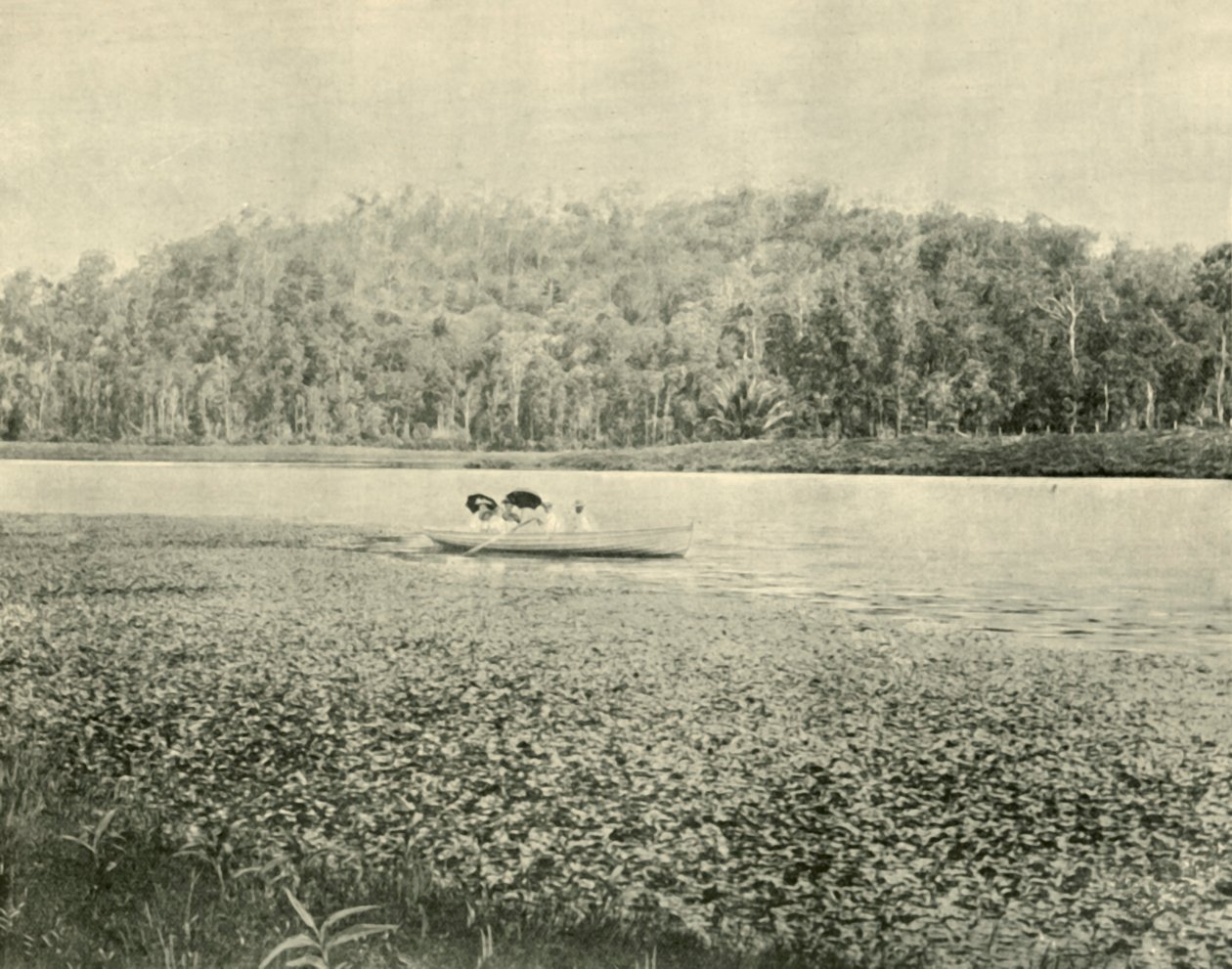 Enoggera-järvellä, 1901. tekijältä Unbekannt