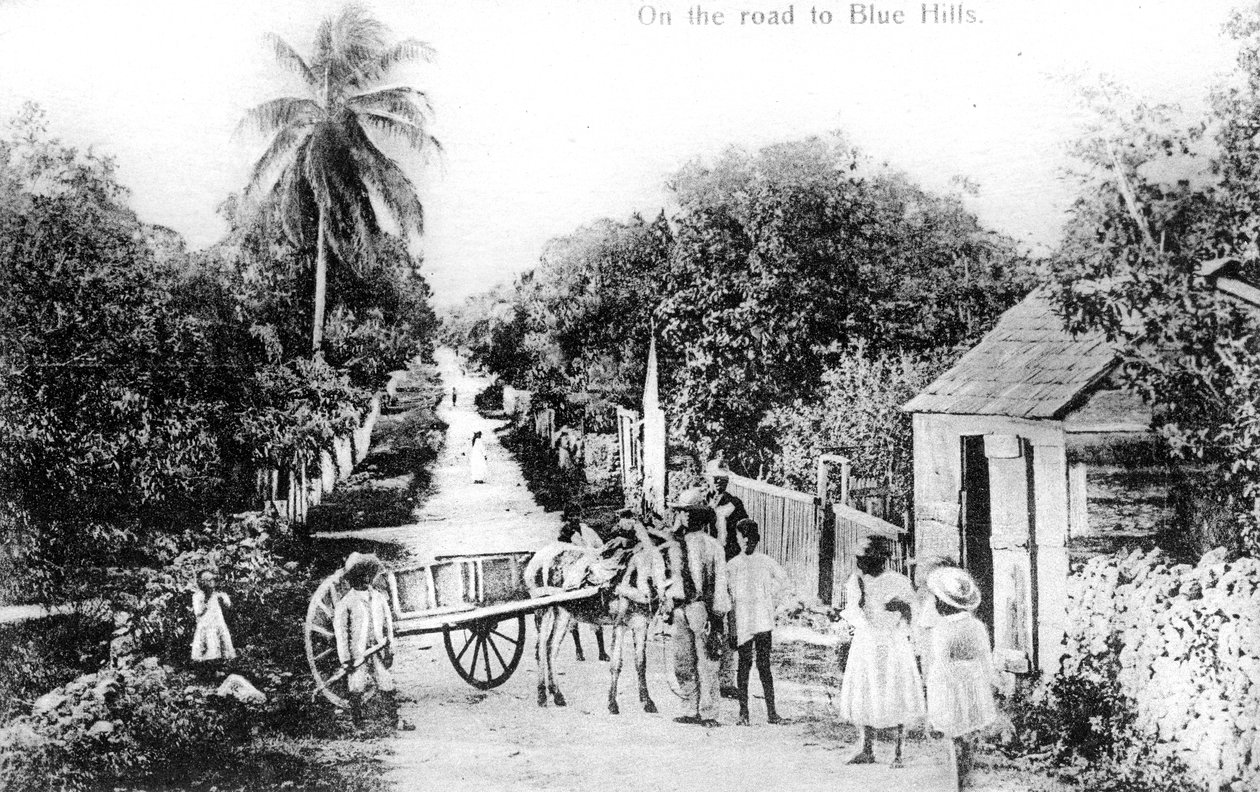 Matkalla Blue Hillsiin, Bahamalle, 1900-luku tekijältä Unbekannt