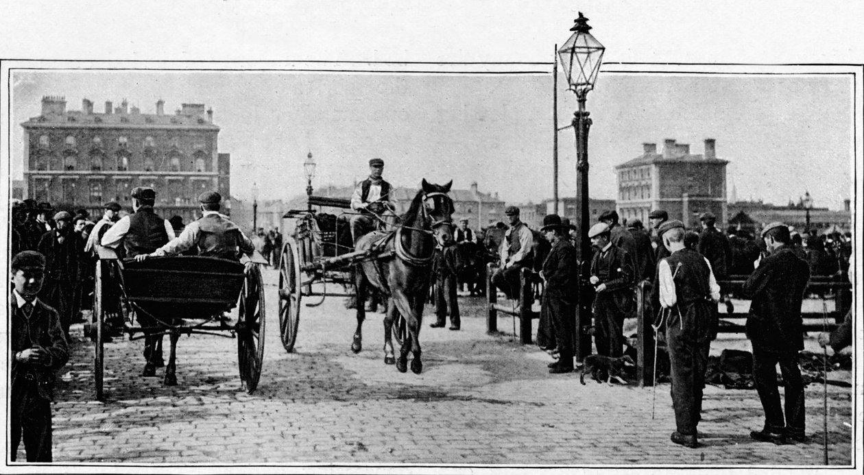 Kivillä, Islington Cattle Market, Lontoo, c1902 1903 tekijältä Unbekannt
