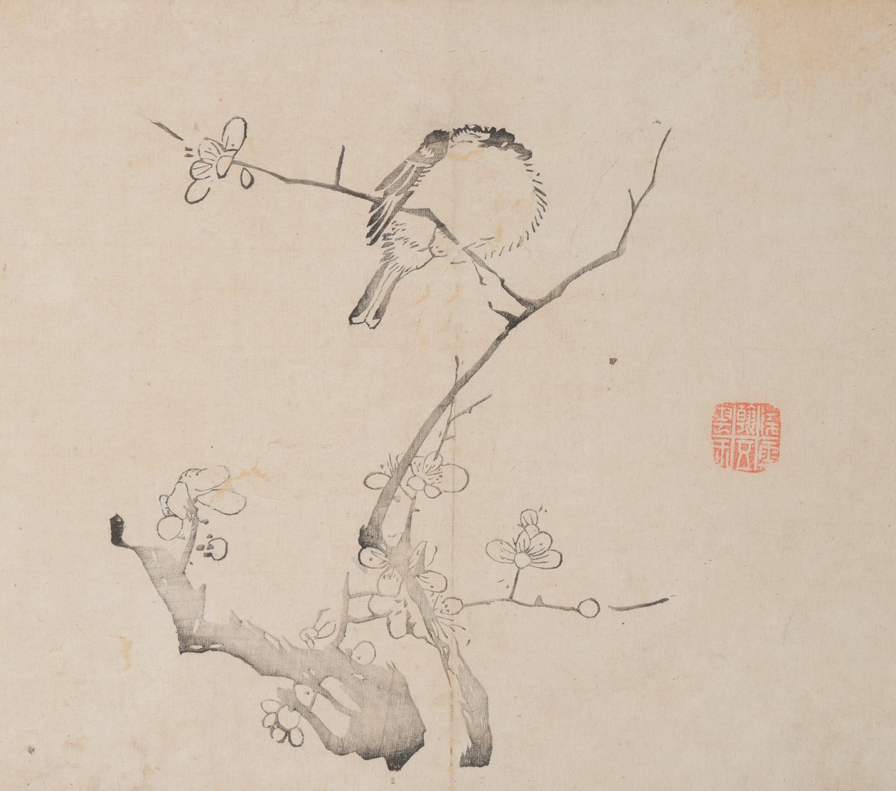 Page from Shi Zhu Zhai Shu hua pu.  tekijältä Unbekannt