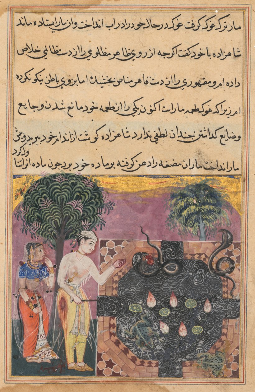 Sivu elokuvasta Tales of a Parrot Tuti-nama: Kahdeksantoista yö: Prinssi, n. 1560. tekijältä Unbekannt