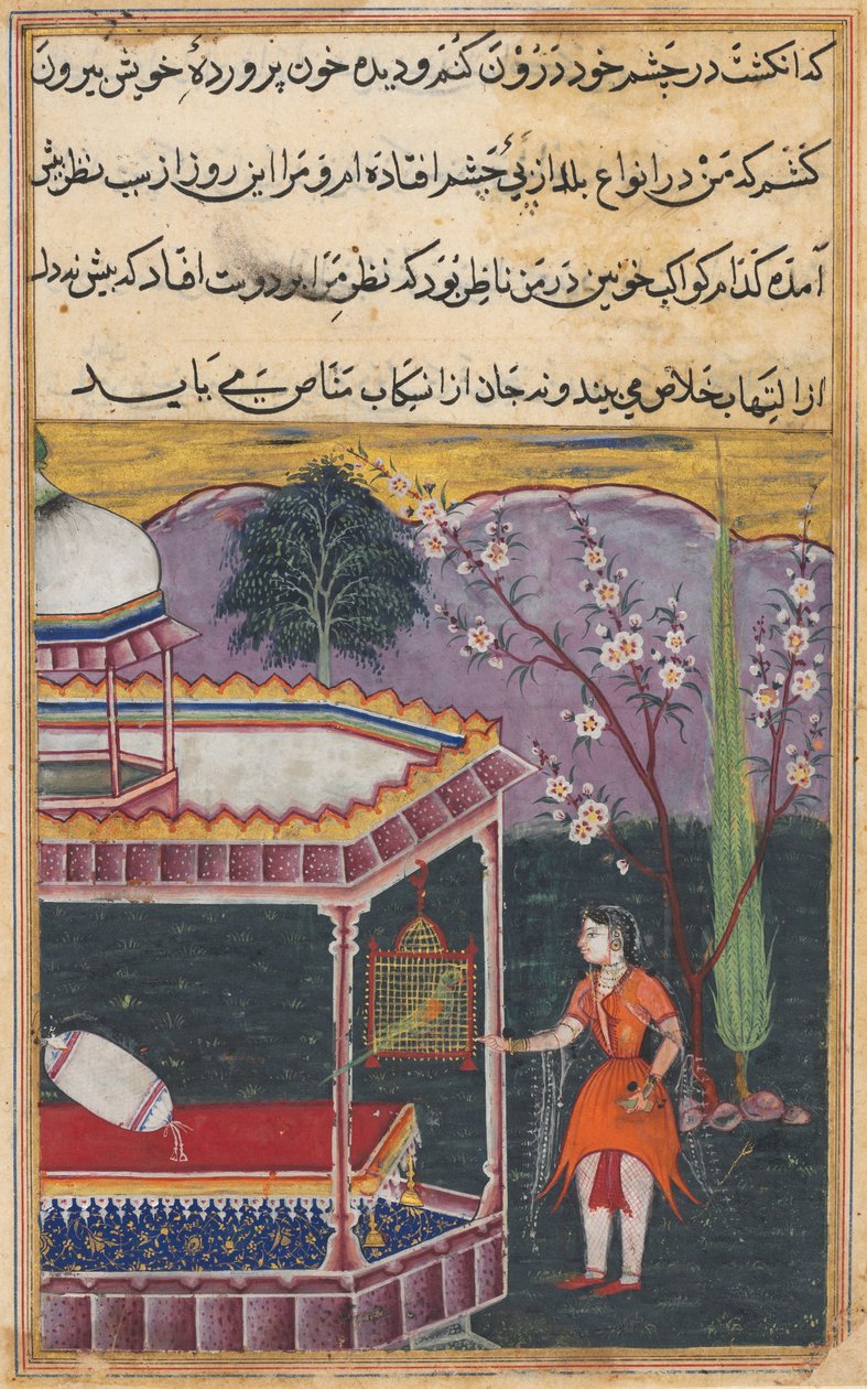 Sivu julkaisusta Tales of a Parrot Tuti-nama: Kahdeksas yö: Papukaija puhuu Khujasta..., 1558-1560. tekijältä Unbekannt