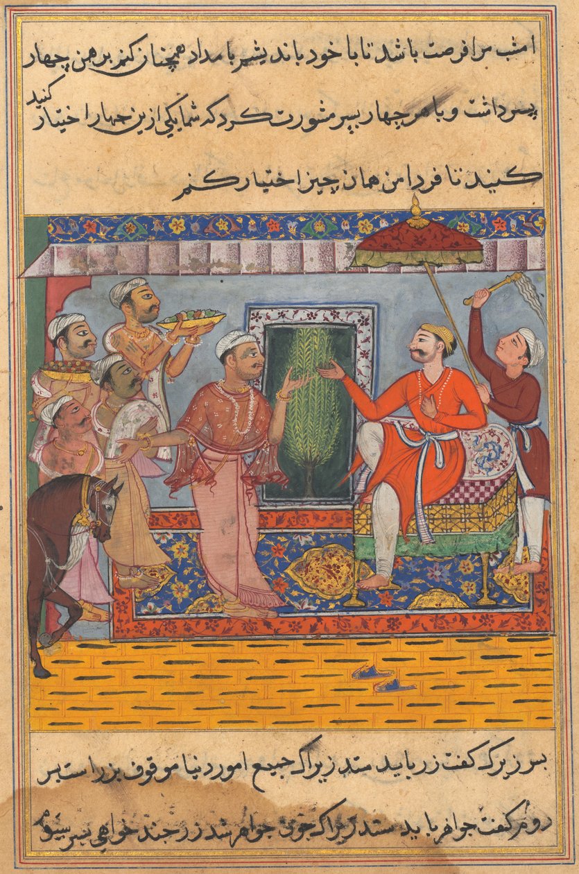 Sivu julkaisusta Tales of a Parrot Tuti-nama: Yhdestoista yö: Brahman, ei voi valita..., c. 1560. tekijältä Unbekannt
