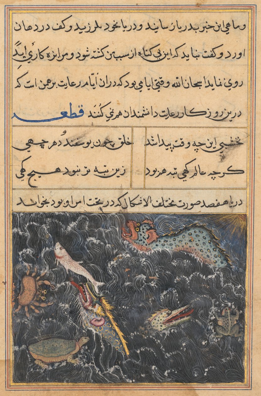 Sivu julkaisusta Tales of a Parrot Tuti-nama: Yhdestoista yö: Meren olennot, n. 1560. tekijältä Unbekannt