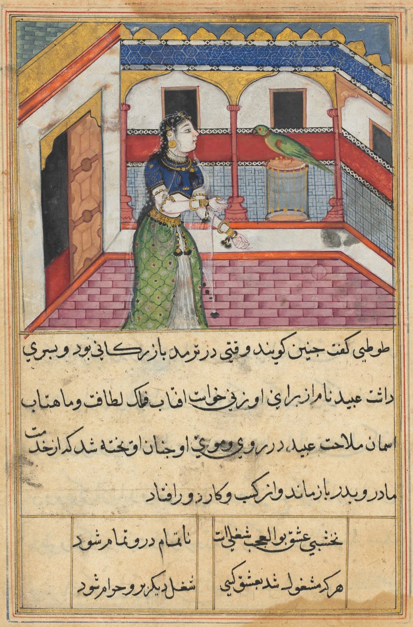 Sivu julkaisusta Tales of a Parrot Tuti-nama: Neljäkymmentätoinen yö: Papukaija puhuttelee..., c. 1560. tekijältä Unbekannt
