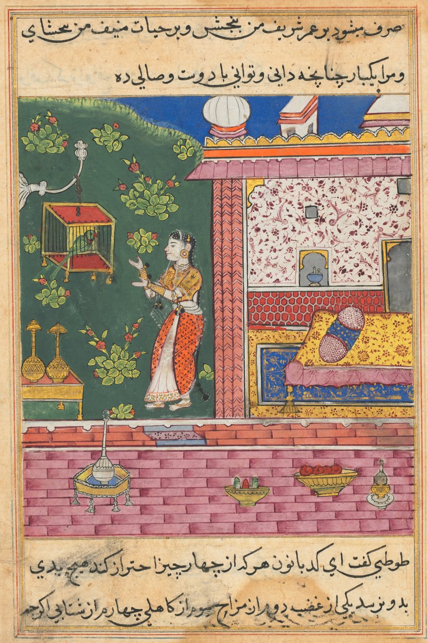 Sivu julkaisusta Tales of a Parrot Tuti-nama: Kolmaskymmenes yö: Papukaija puhuu Khujasta..., n. 1560. tekijältä Unbekannt