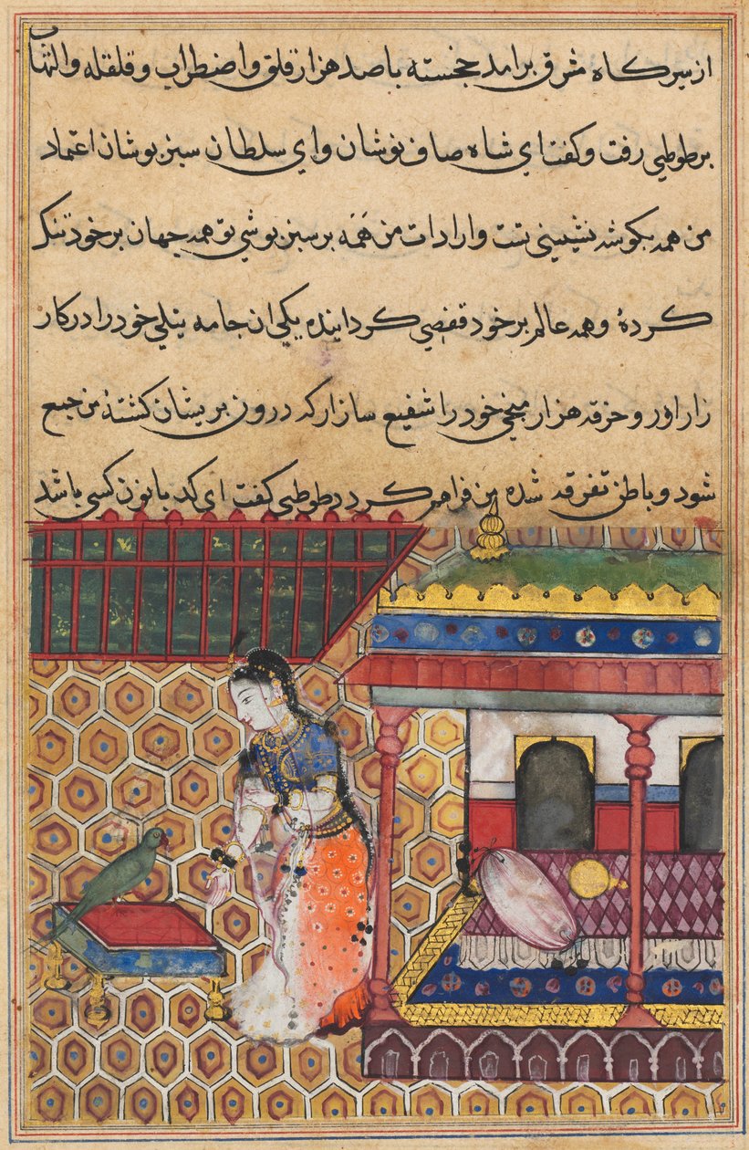 Sivu elokuvasta Tales of a Parrot Tuti-nama: Kolmekymmentäkahdeksan yötä: Papukaija puhuu Khujasta, c1560. tekijältä Unbekannt