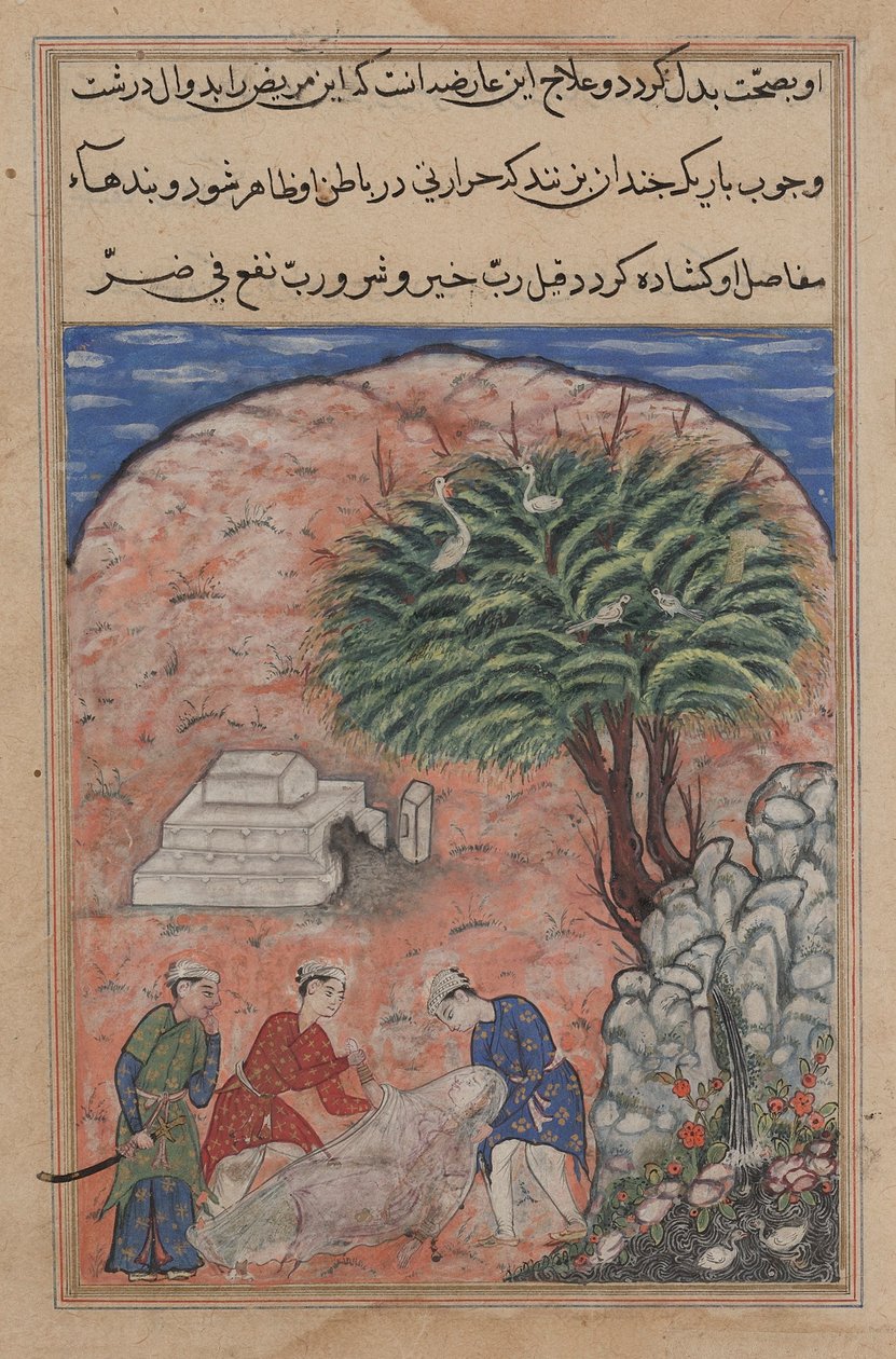 Sivu elokuvista Tales of a Parrot Tuti-nama: Kahdeskymmenes yö: Kosijat ottavat..., c. 1560. tekijältä Unbekannt