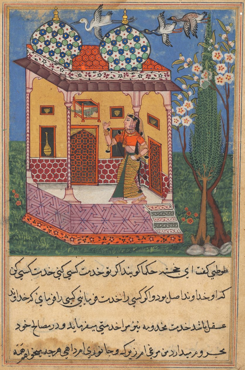 Sivu julkaisusta Tales of a Parrot Tuti-nama: Kahdeskymmeneskuudes yö: Papukaija puhuu Khujasta..., c1560 tekijältä Unbekannt