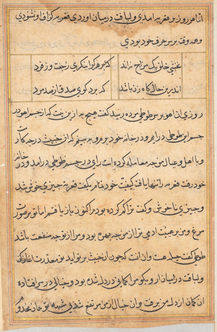 Sivu julkaisusta Tales of a Parrot Tuti-nama: tekstisivu, n. 1560. tekijältä Unbekannt