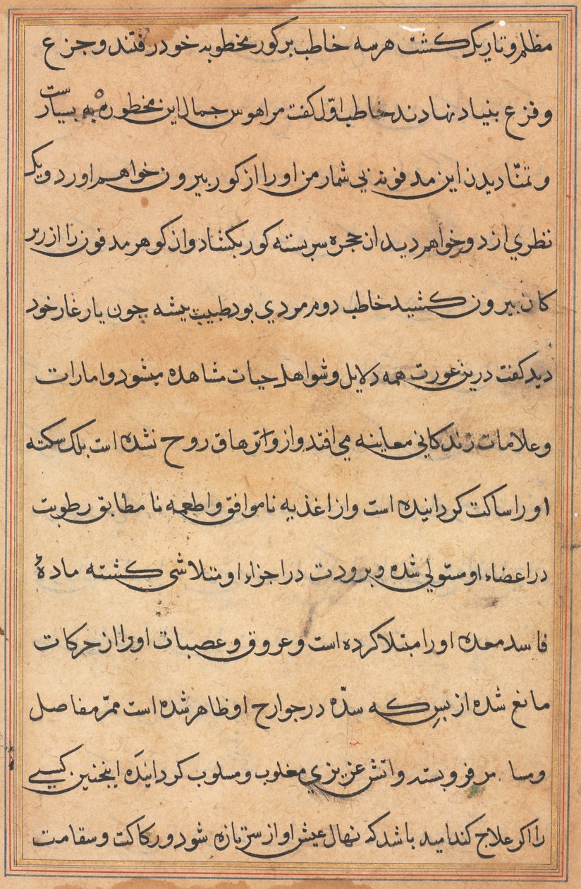 Sivu julkaisusta Tales of a Parrot Tuti-nama: tekstisivu, n. 1560. tekijältä Unbekannt