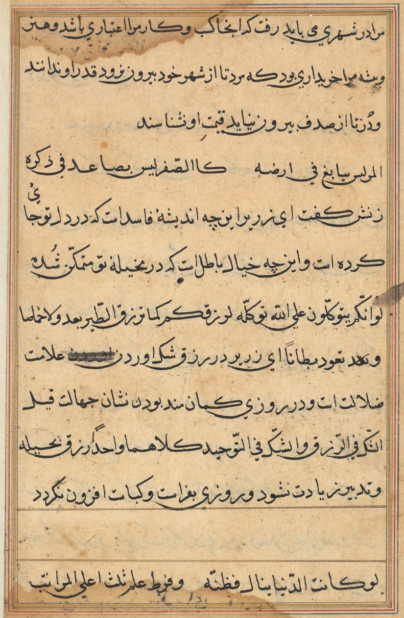 Sivu julkaisusta Tales of a Parrot Tuti-nama: tekstisivu, n. 1560. tekijältä Unbekannt