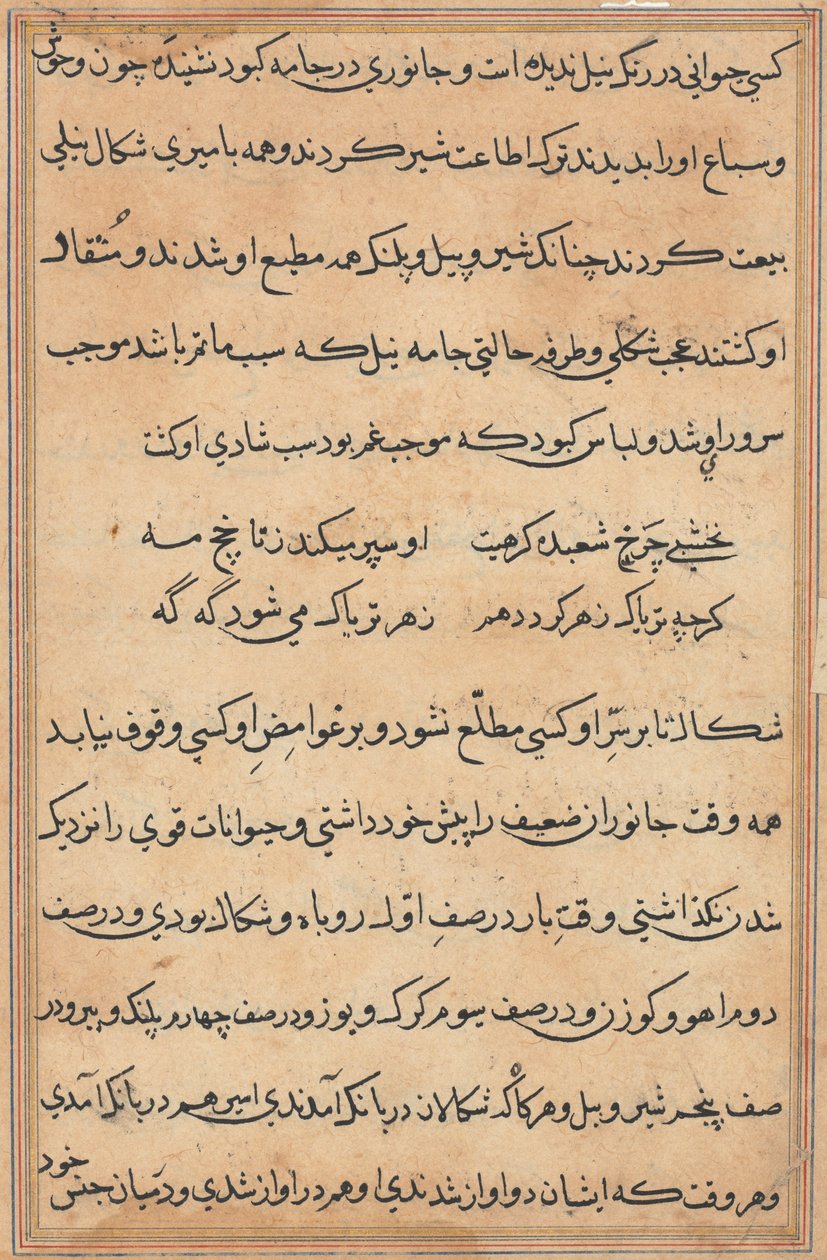 Sivu julkaisusta Tales of a Parrot Tuti-nama: tekstisivu, n. 1560. tekijältä Unbekannt