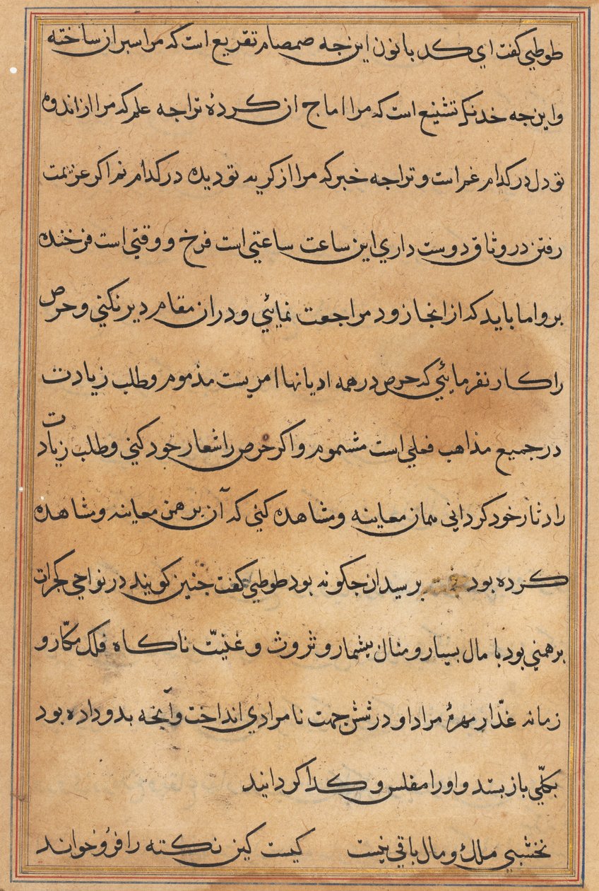 Sivu julkaisusta Tales of a Parrot Tuti-nama: tekstisivu, n. 1560. tekijältä Unbekannt