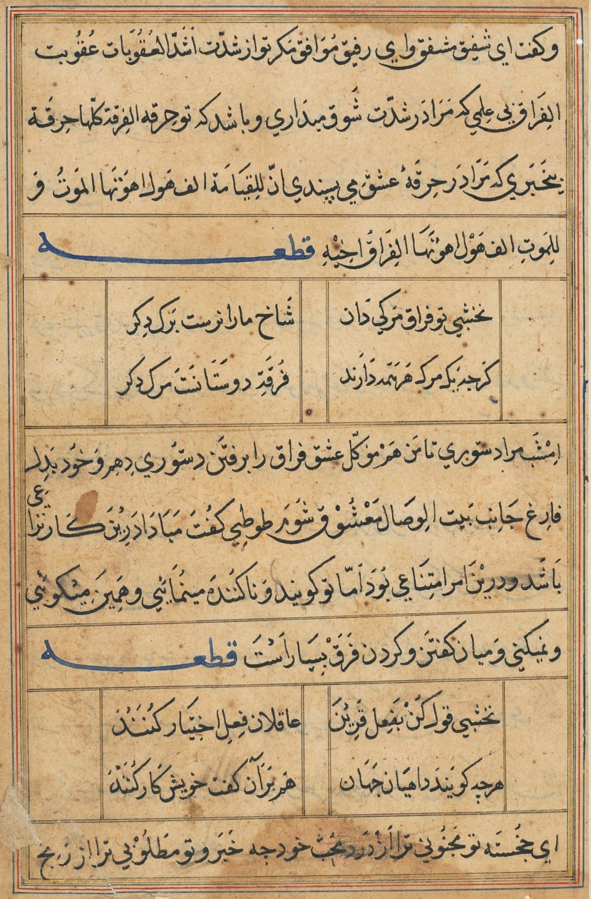 Sivu julkaisusta Tales of a Parrot Tuti-nama: tekstisivu, n. 1560. tekijältä Unbekannt