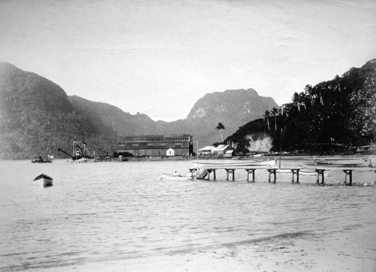 Pago Pagon satama, Tutuilan saarella, Amerikan Samoalla, 1889 tekijältä Unbekannt