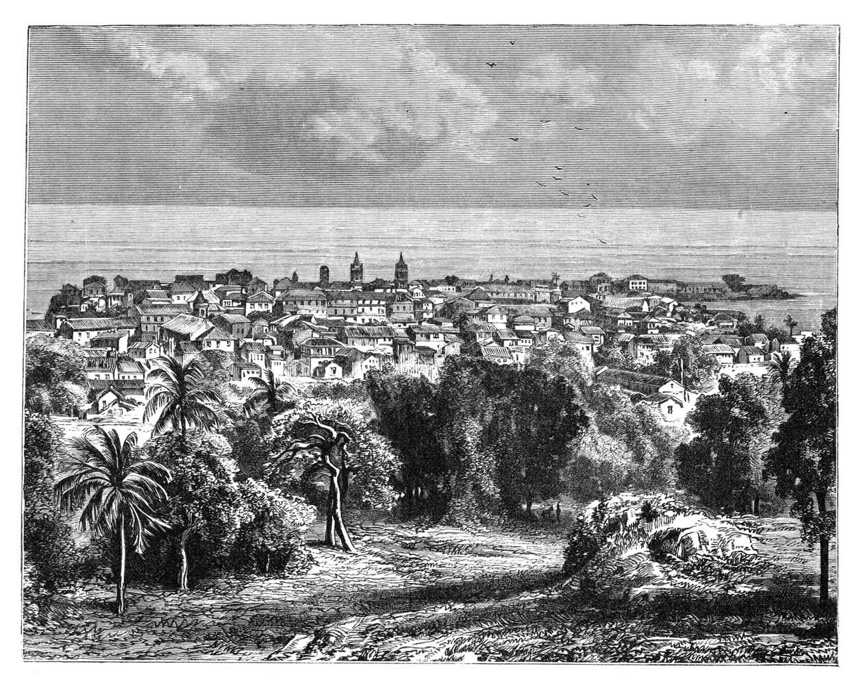 Panama City Mount Anconista, vuodelta 1890 tekijältä Unbekannt