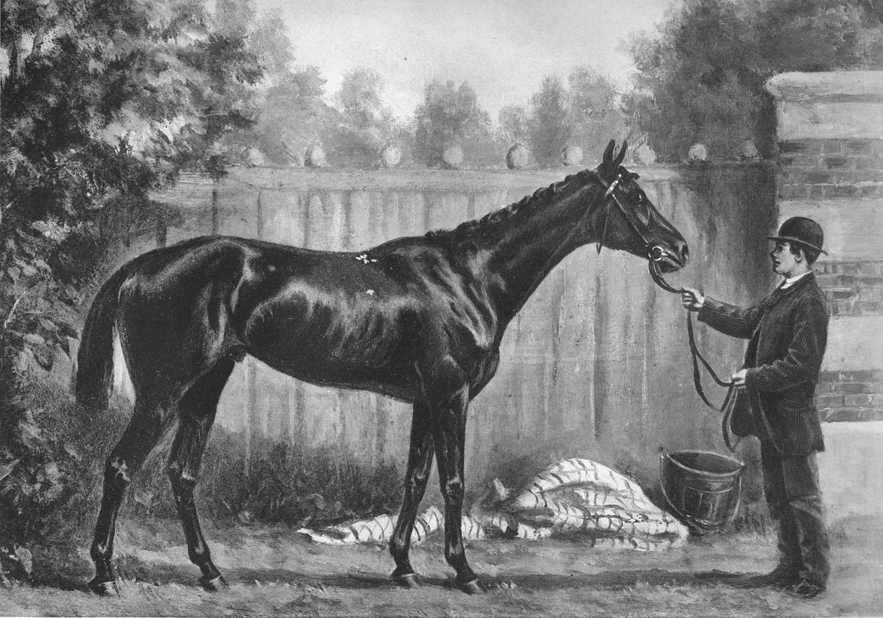 Paradoksi, 1882-1890, 1911 tekijältä Unbekannt