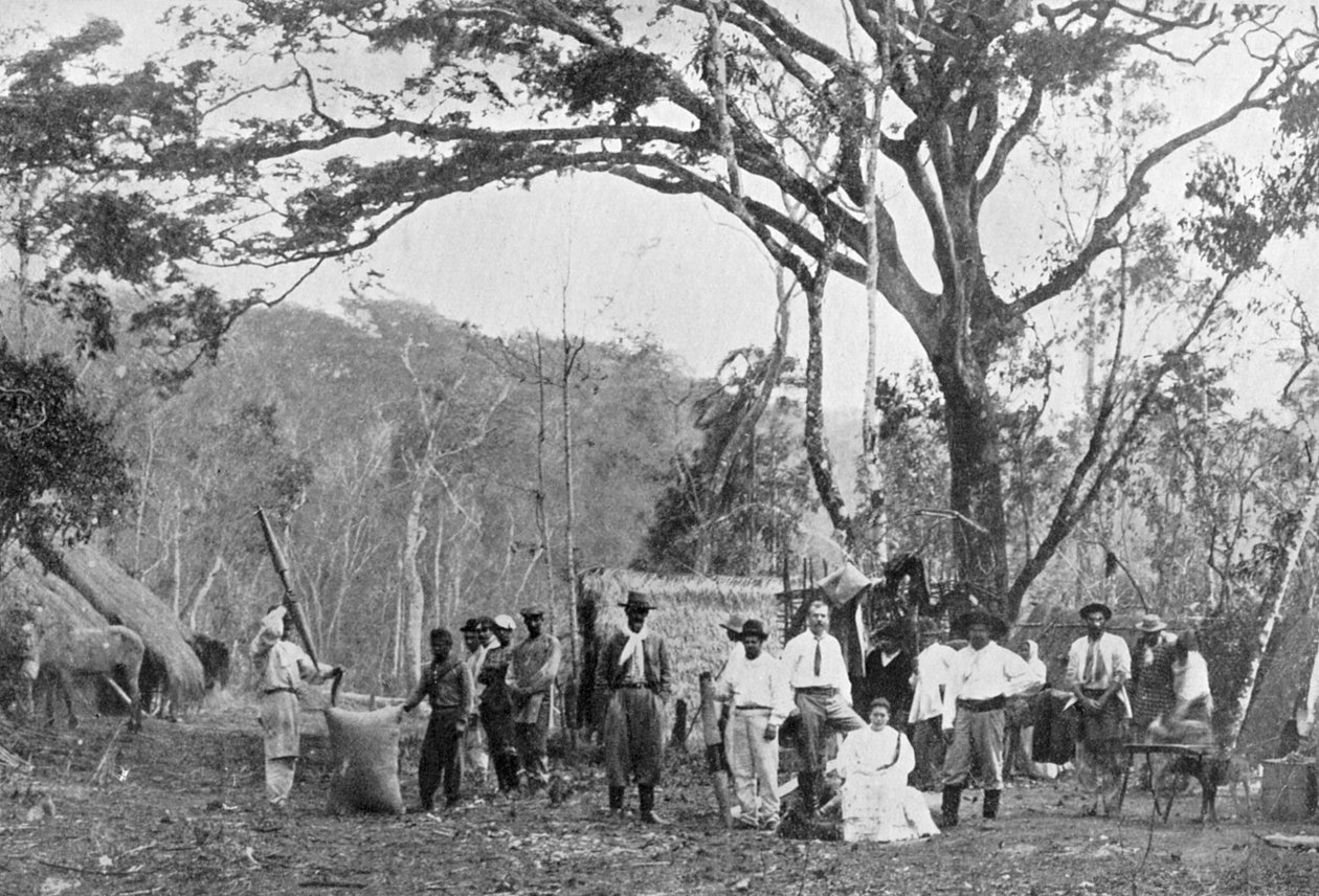 Paraguaylainen teekeräys, Paraguay, 1911 tekijältä Unbekannt