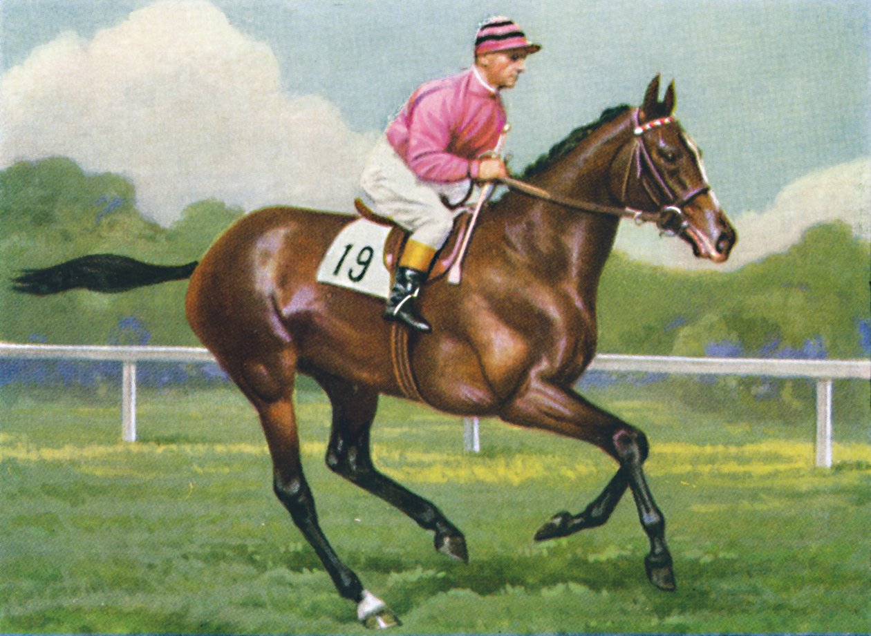 Pasch, Jockey: G. Richards, 1939 tekijältä Unbekannt