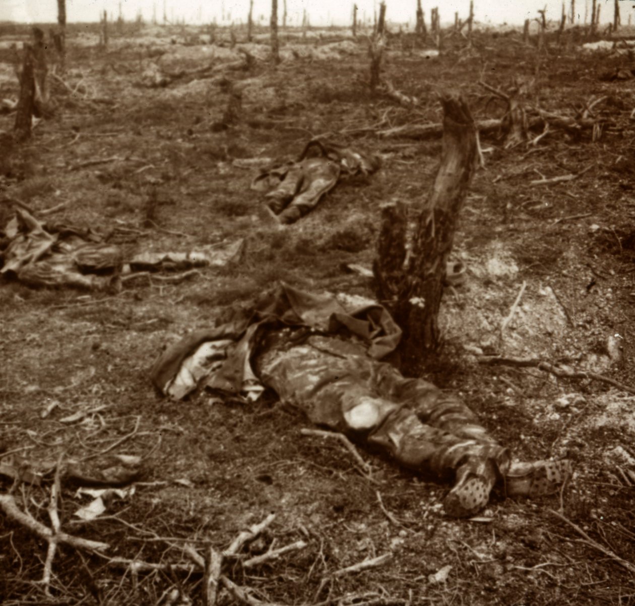 Polku ruumiiden välillä, c1914-c1918 tekijältä Unbekannt