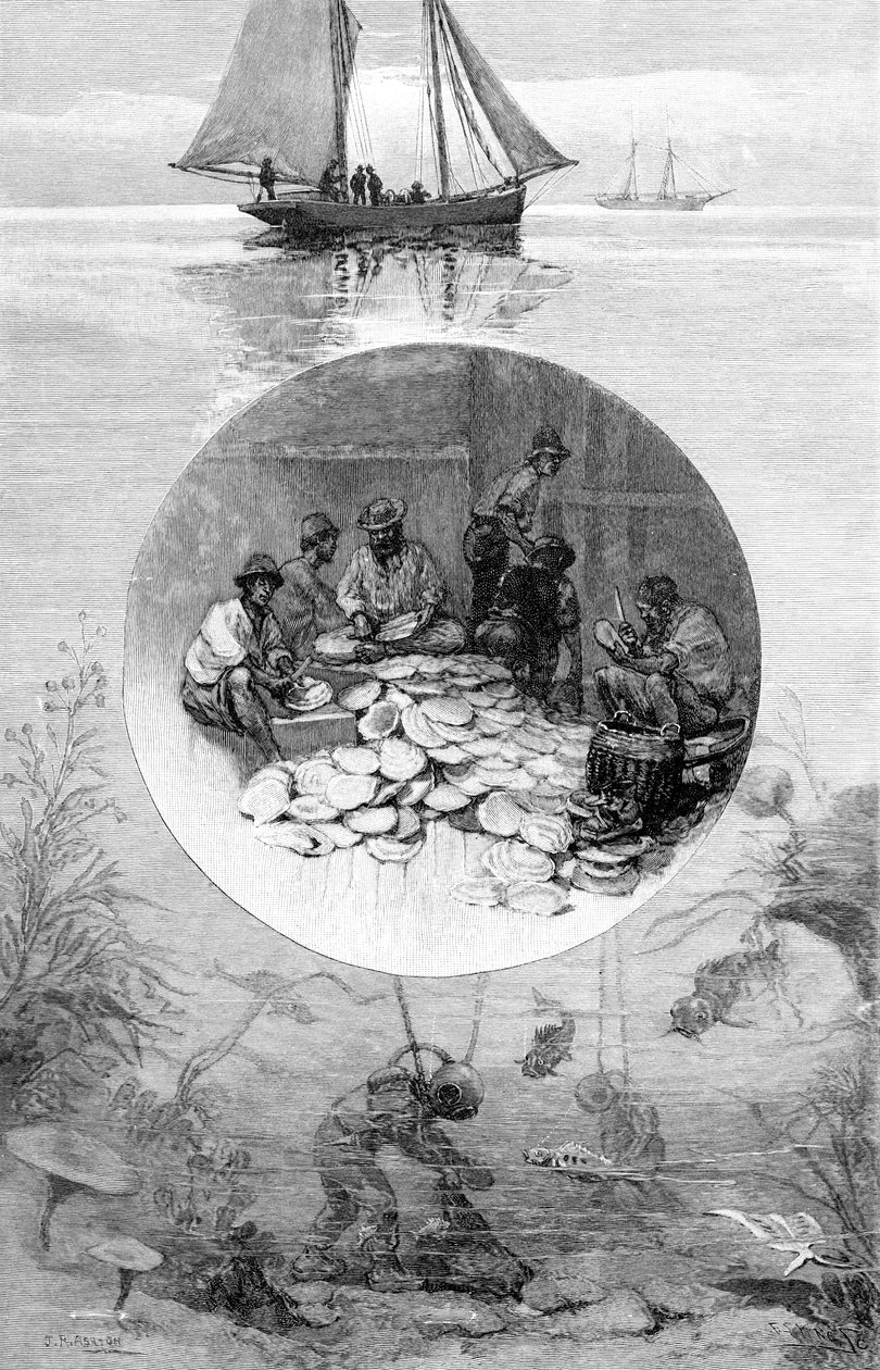 Pearl Fishery, Torresin salmi, Australia, 1886 tekijältä Unbekannt