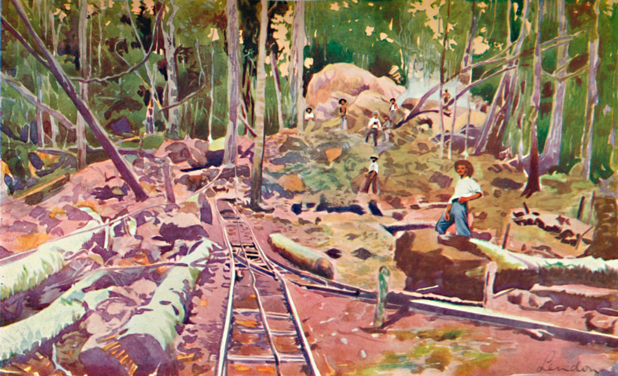 Tunkeutumassa Amazonin metsään - Madeira-Mamorén rautatie, 1914 tekijältä Unbekannt