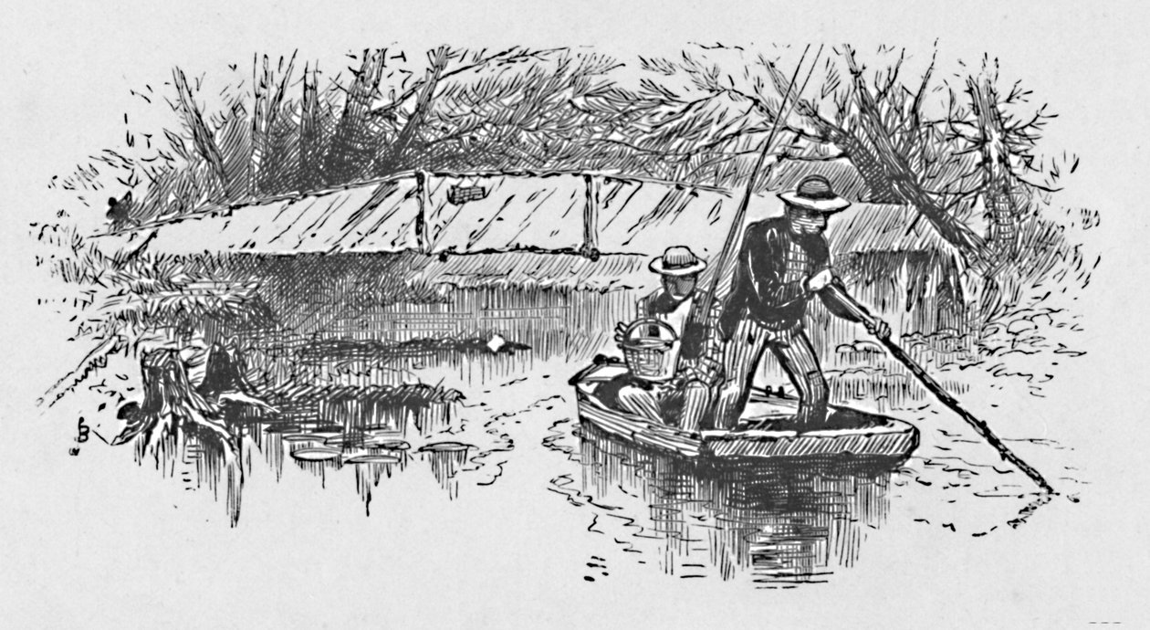 Ahvenen kalastus järvellä, 1883 tekijältä Unbekannt