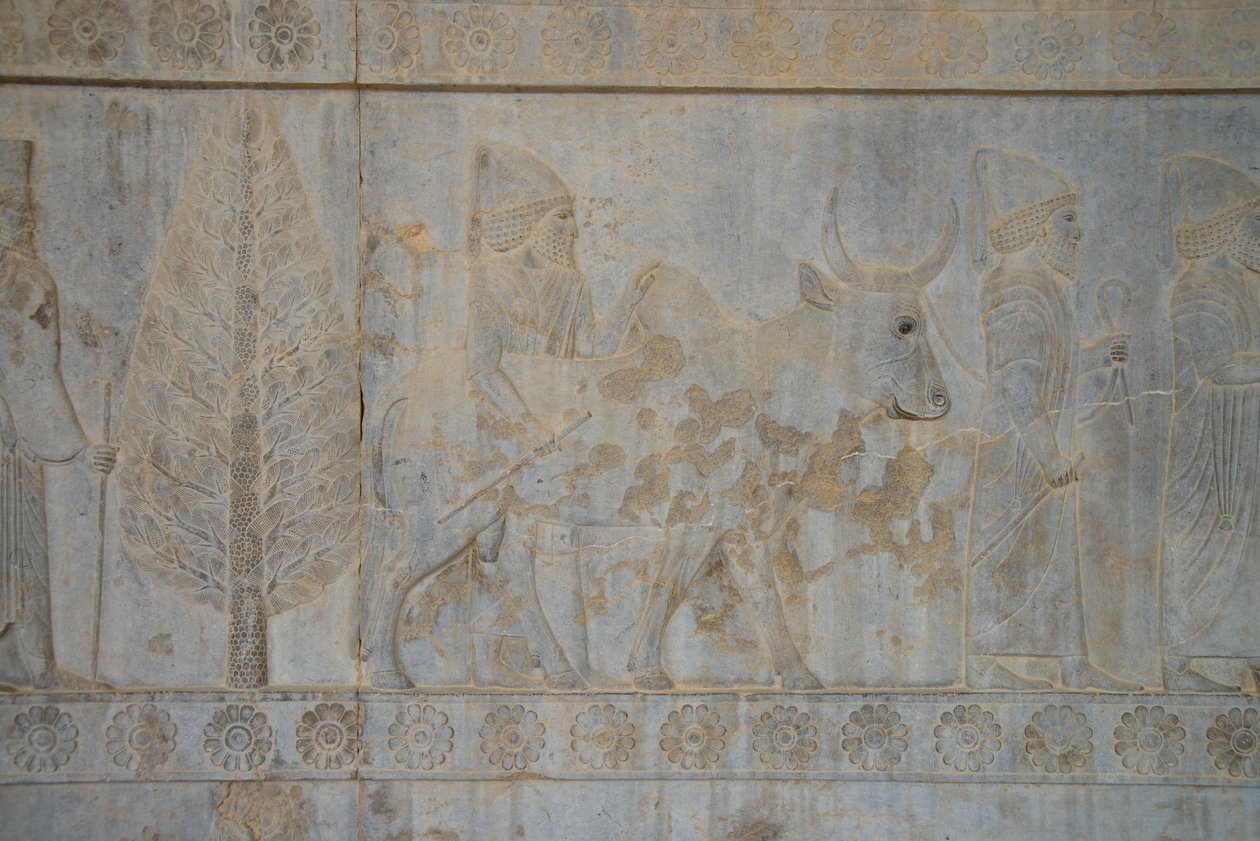 Persepolis, Iran (kuva) tekijältä Unbekannt
