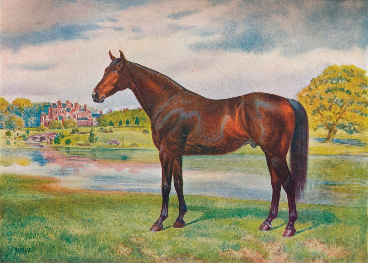 Kaki, c1905 c1910 tekijältä Unbekannt