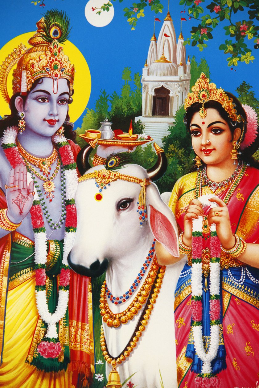 Kuva hindujumalista Rada & Krishna India tekijältä Unbekannt