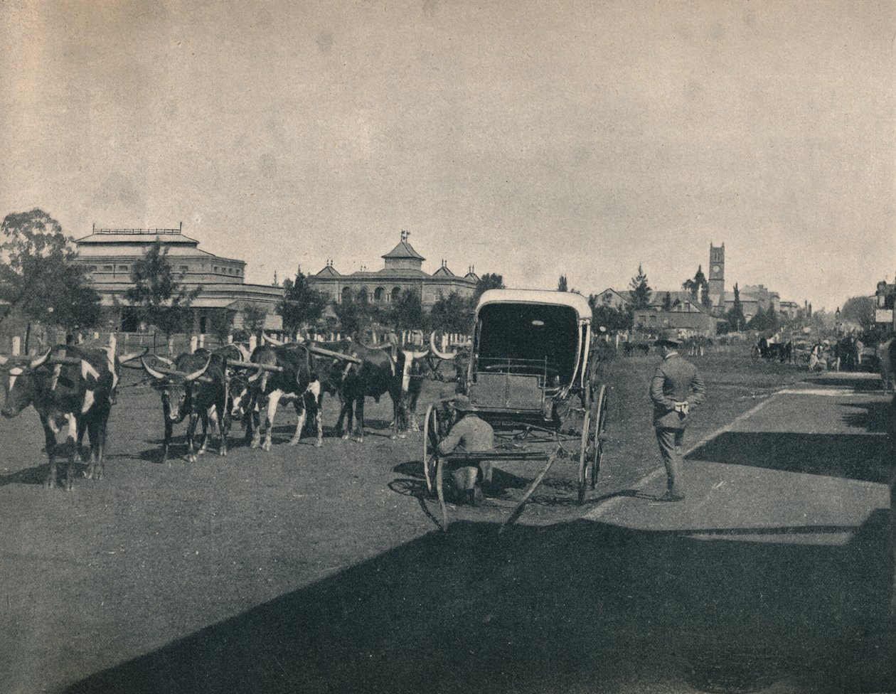 Pietermaritzburg, 1900. tekijältä Unbekannt