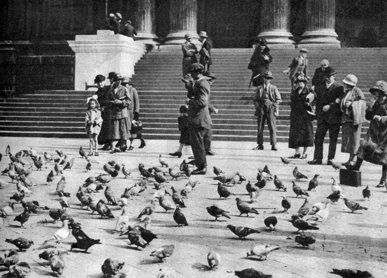 Kyyhkyset Trafalgar Squarella Lontoossa, 1926-1927 tekijältä Unbekannt