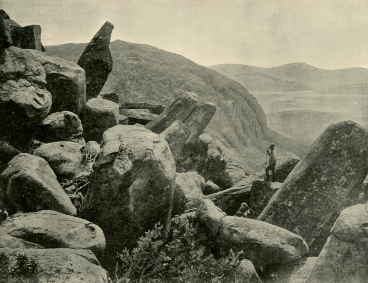 Pinnacle & Organ Pipes, Mount Wellington, 1901. tekijältä Unbekannt