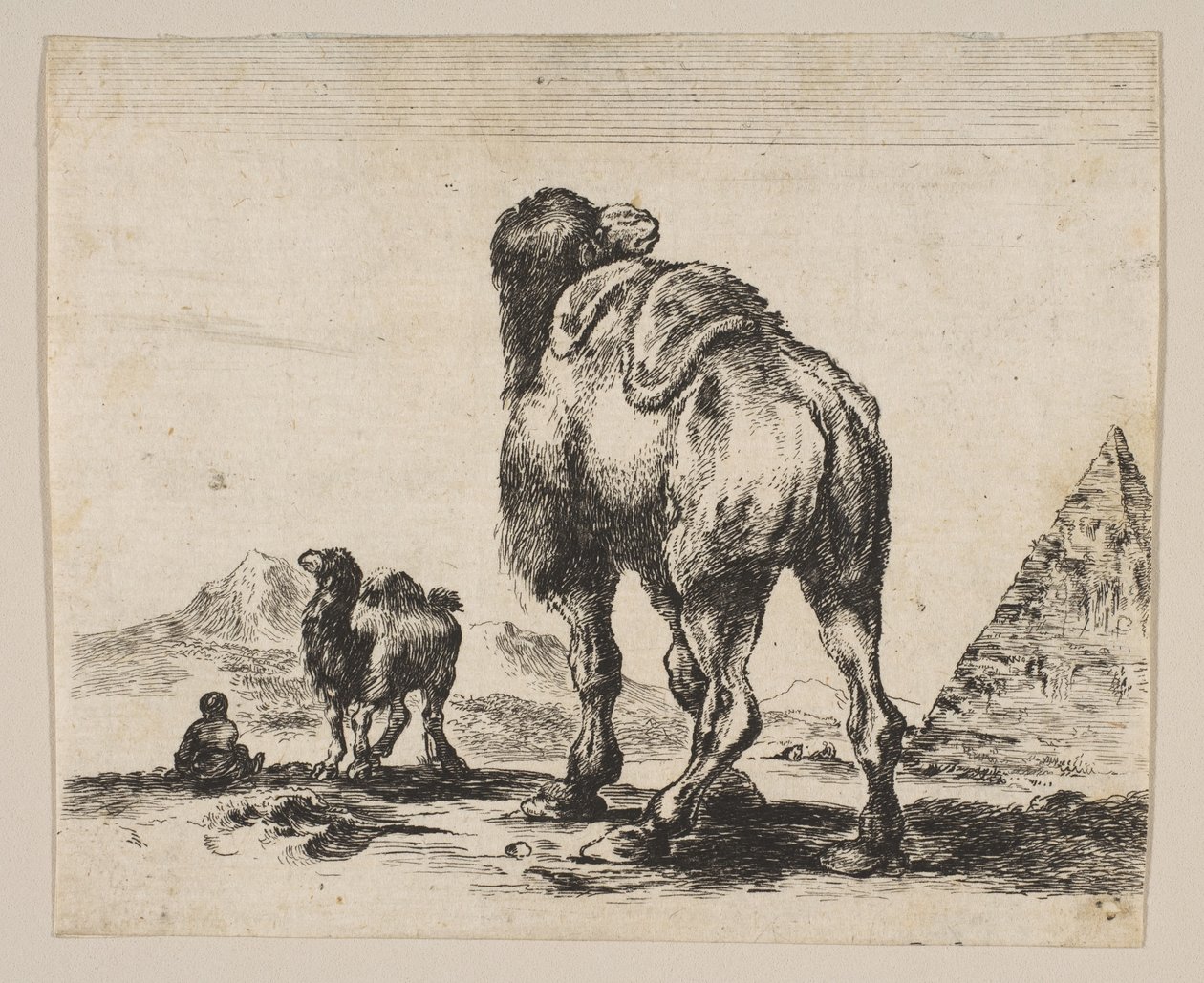 Levy 18: kameli takaa katsottuna, oikealla pyramidi, Various animals Di..., vuoden 1641 jälkeen. tekijältä Unbekannt