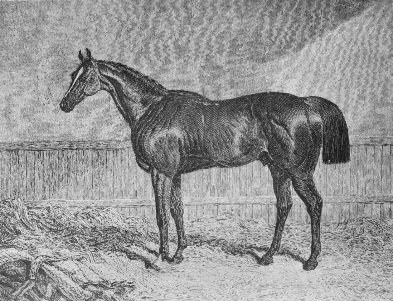 Valtuutettu, 1831-1854, 1911 tekijältä Unbekannt