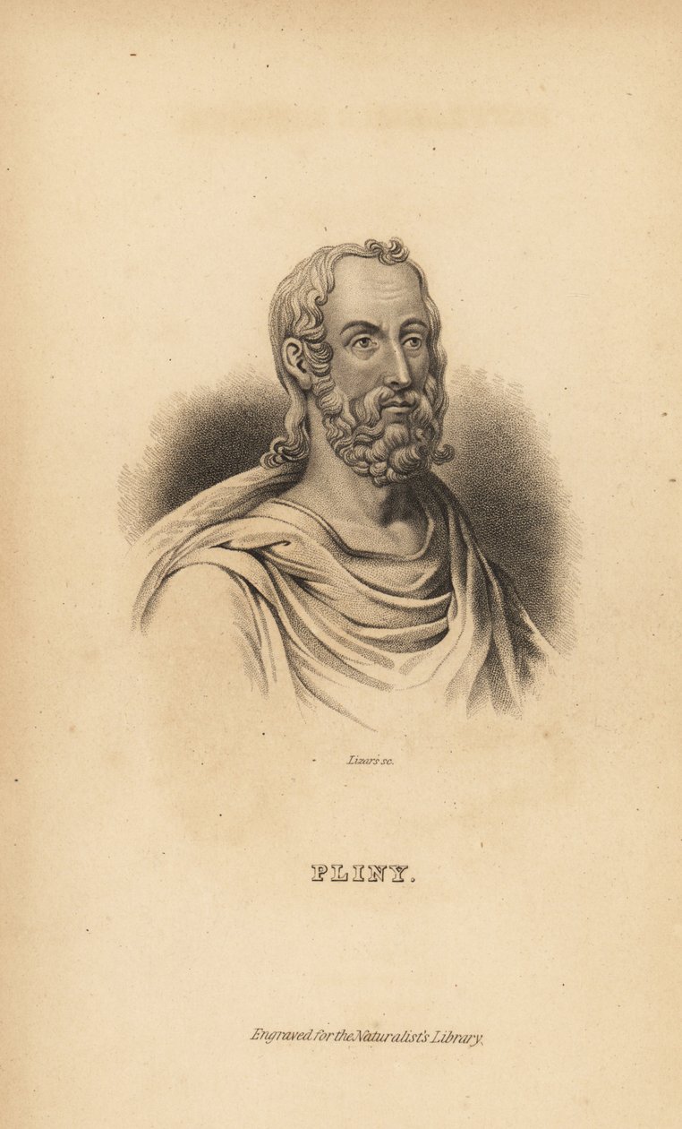 Plinius vanhin, Gaius Plinius Secundus, roomalainen kirjailija, luonnontieteilijä ja luonnonfilosofi, 23-79 jKr. tekijältä Unbekannt