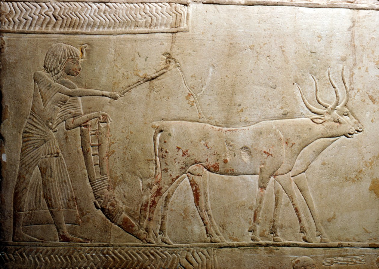 Auraus egyptiläisestä steelestä, 18. dynastia, 1332 eKr.-1323 eKr. tekijältä Unbekannt