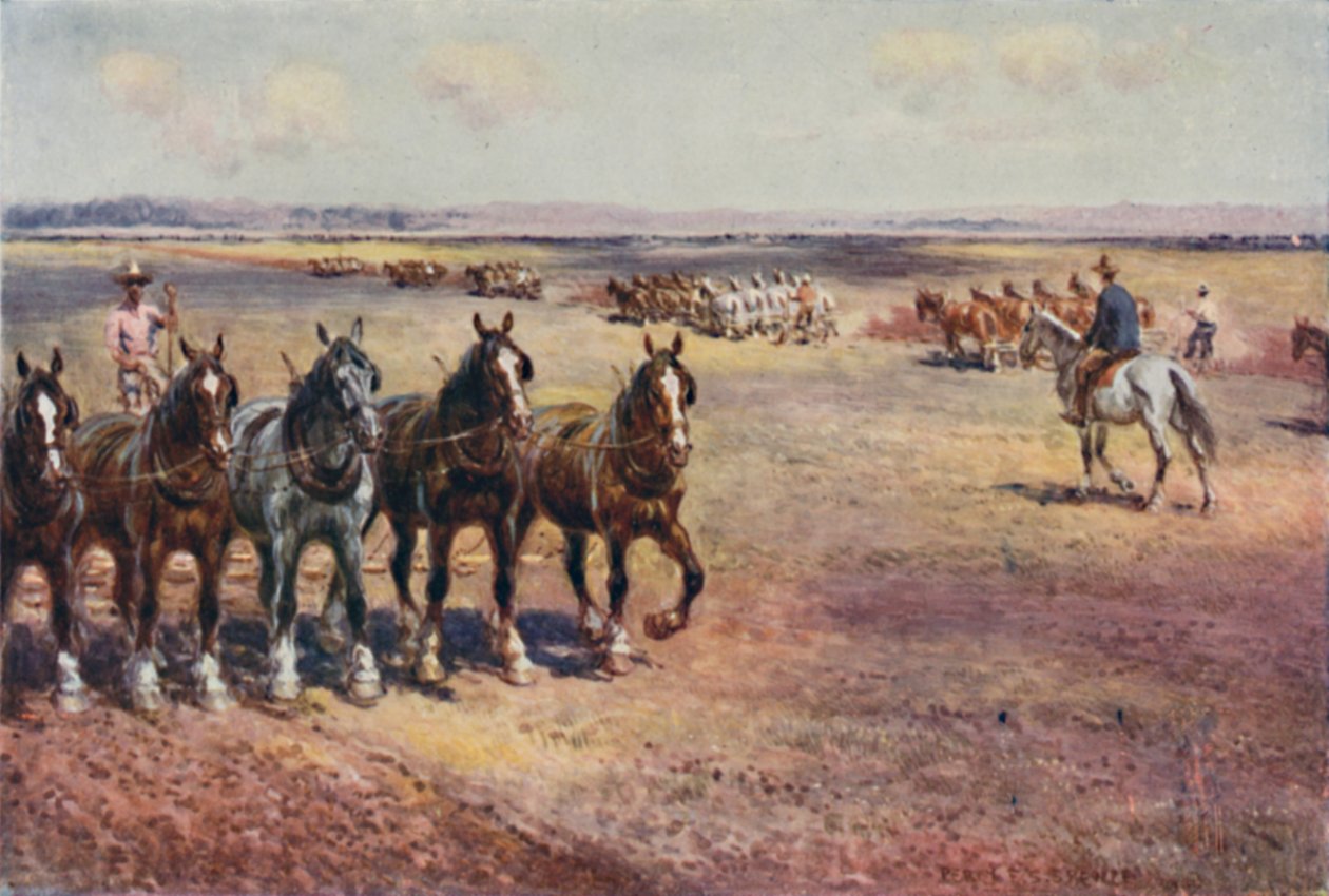 Kyntö suuressa mittakaavassa, 1923. tekijältä Unbekannt
