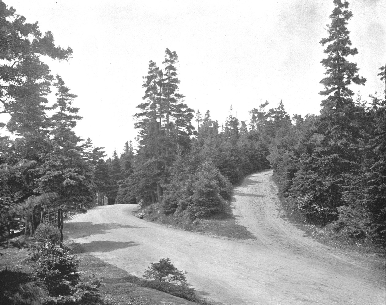 Point Pleasant Park, Halifax, Nova Scotia, Kanada, c1900. tekijältä Unbekannt