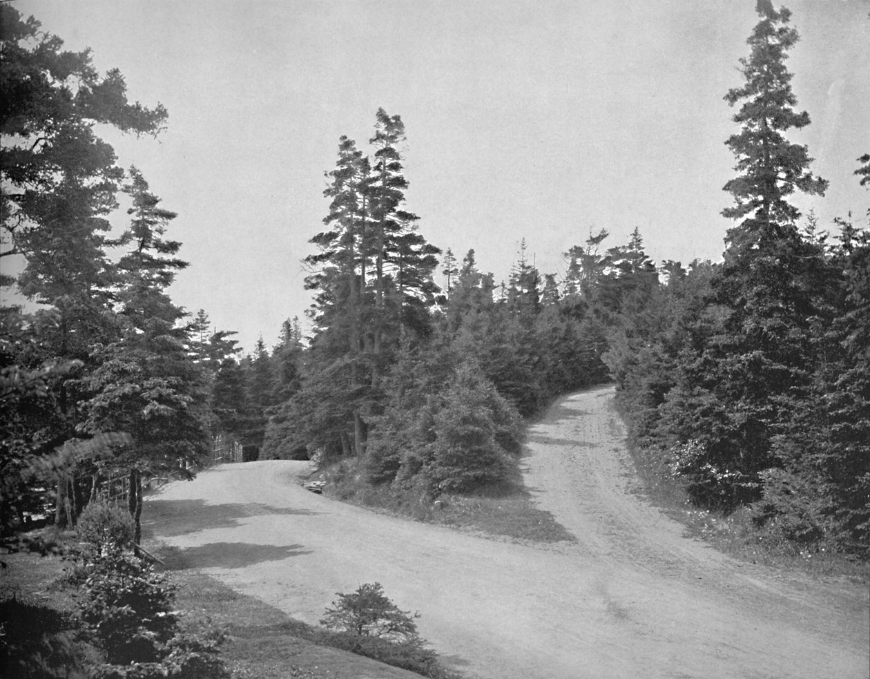 Point Pleasant Park, Halifax, Nova Scotia, 1897. tekijältä Unbekannt