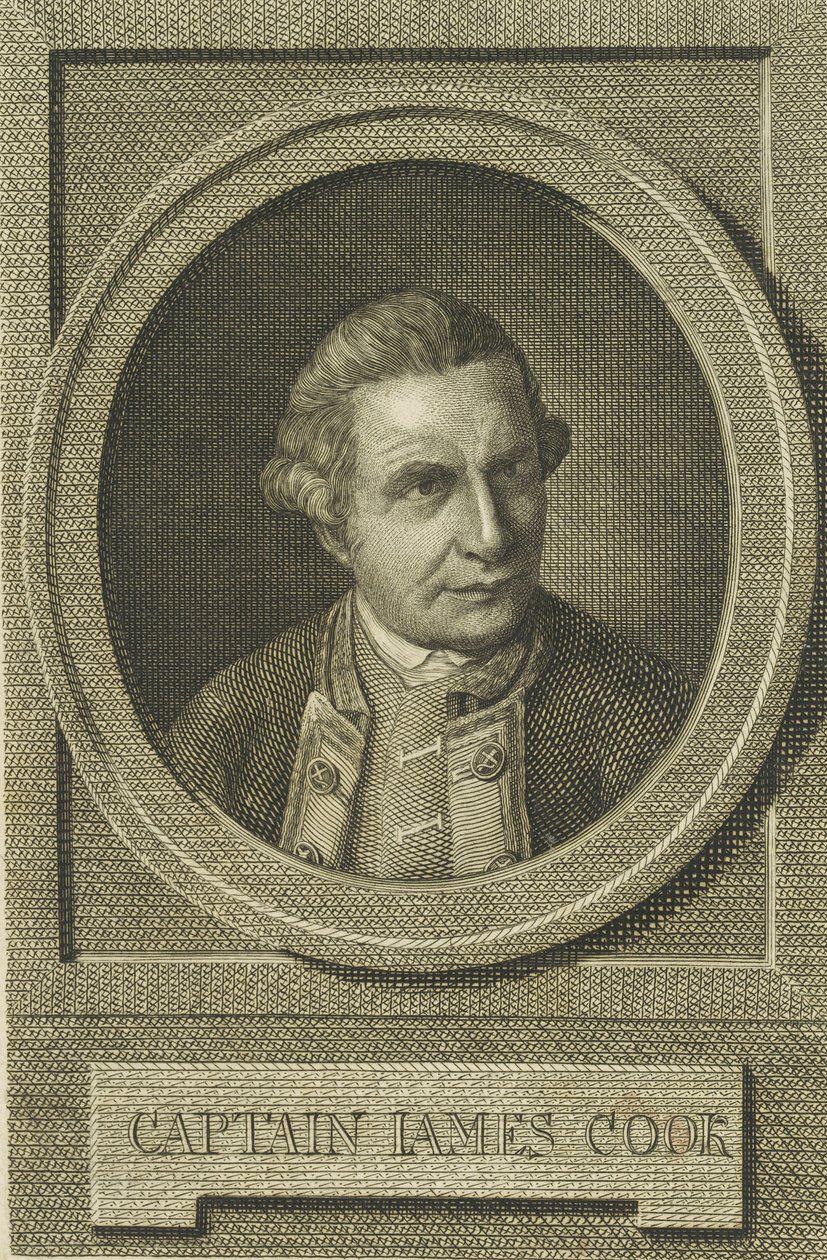 James Cookin muotokuva vuoden 1771 jälkeen. tekijältä Unbekannt