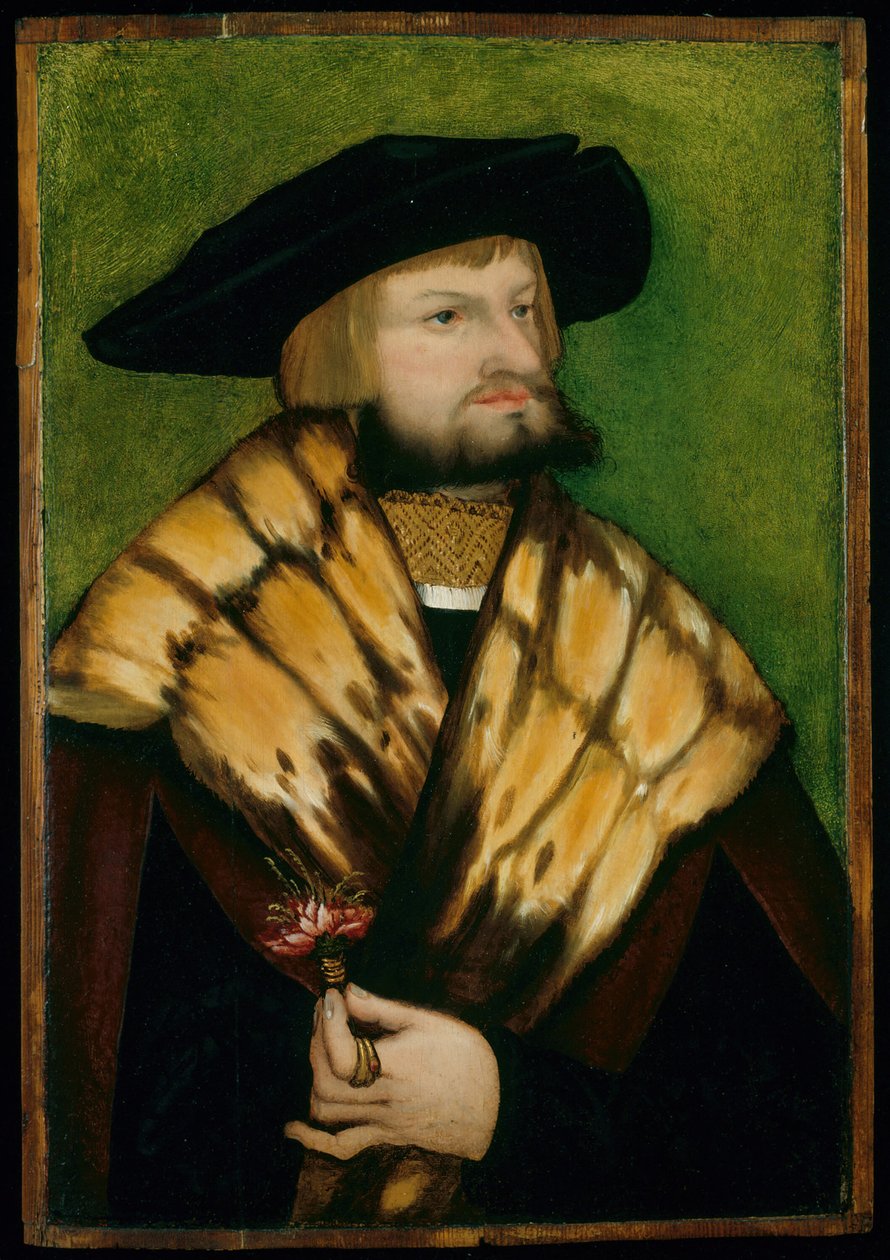 Leonhard Fuchsin muotokuva, 1525. tekijältä Unbekannt