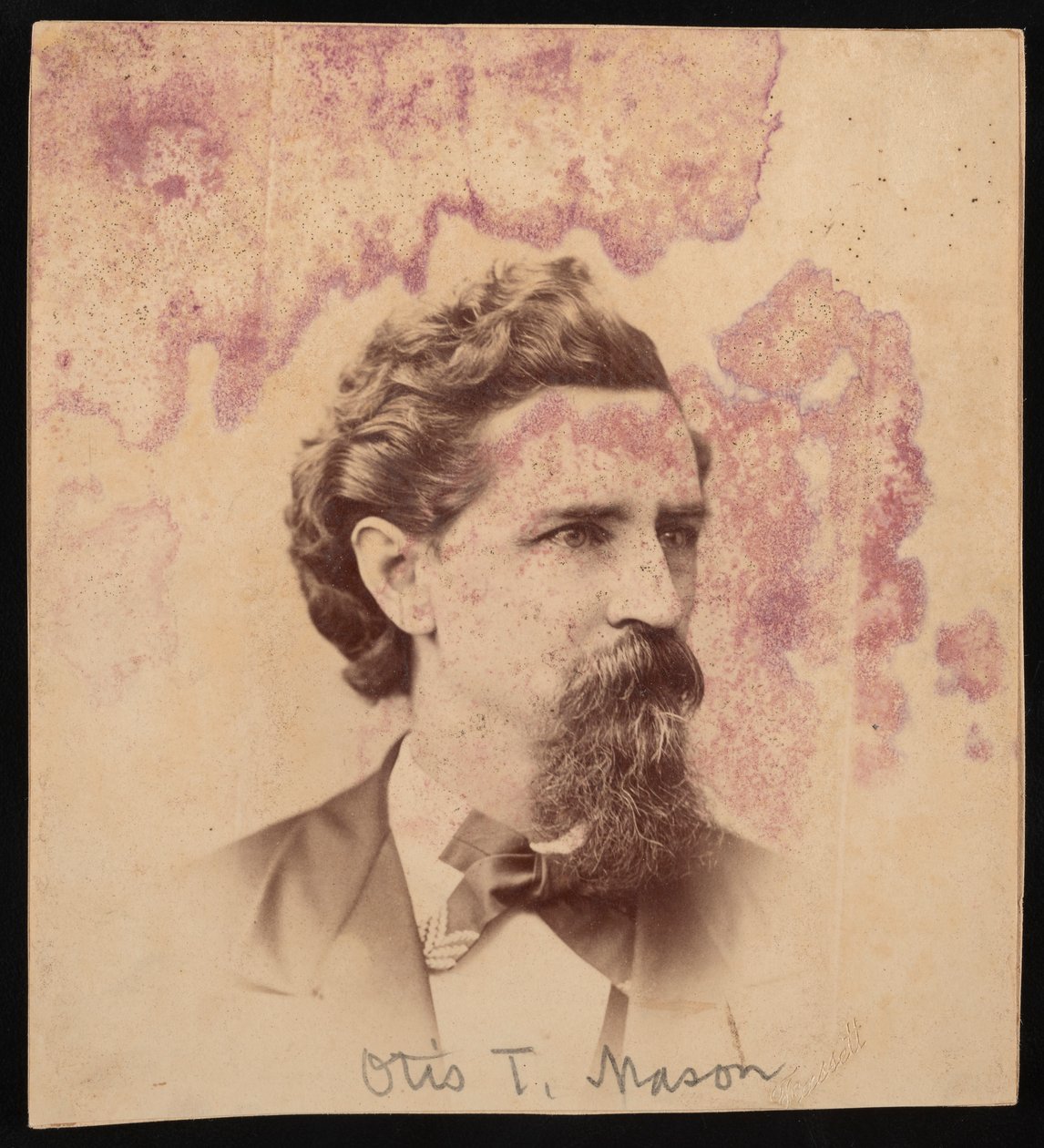 Otis Tufton Masonin muotokuva 1838-1908, ennen vuotta 1900. tekijältä Unbekannt
