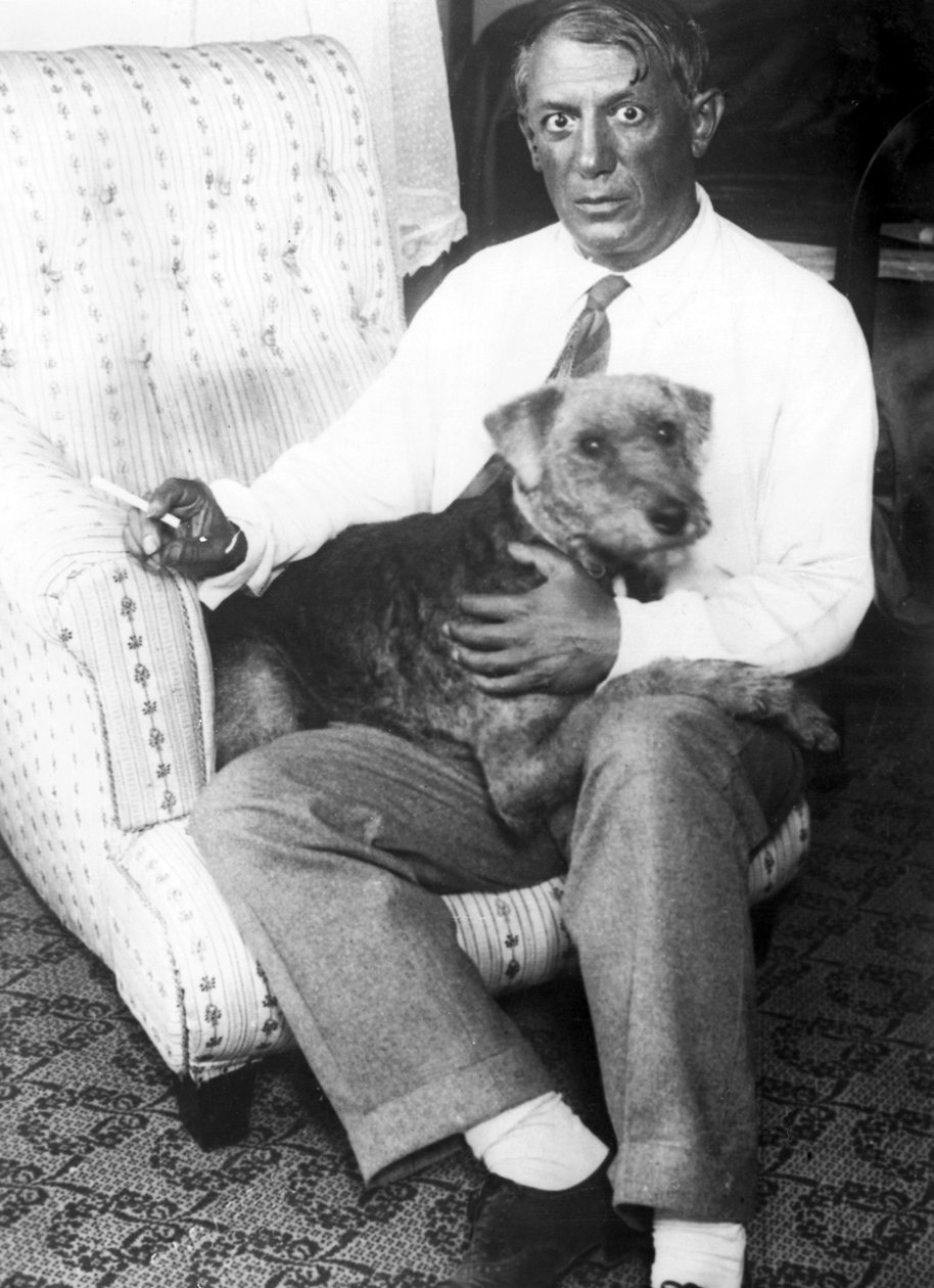 Pablo Ruiz PICASSON (1881-1973), espanjalaisen taidemaalarin muotokuva (mv/w kuva) tekijältä Unbekannt
