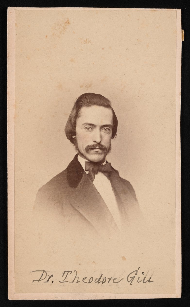 Theodore Nicholas Gillin muotokuva 1837-1914, noin 1860-luku. tekijältä Unbekannt