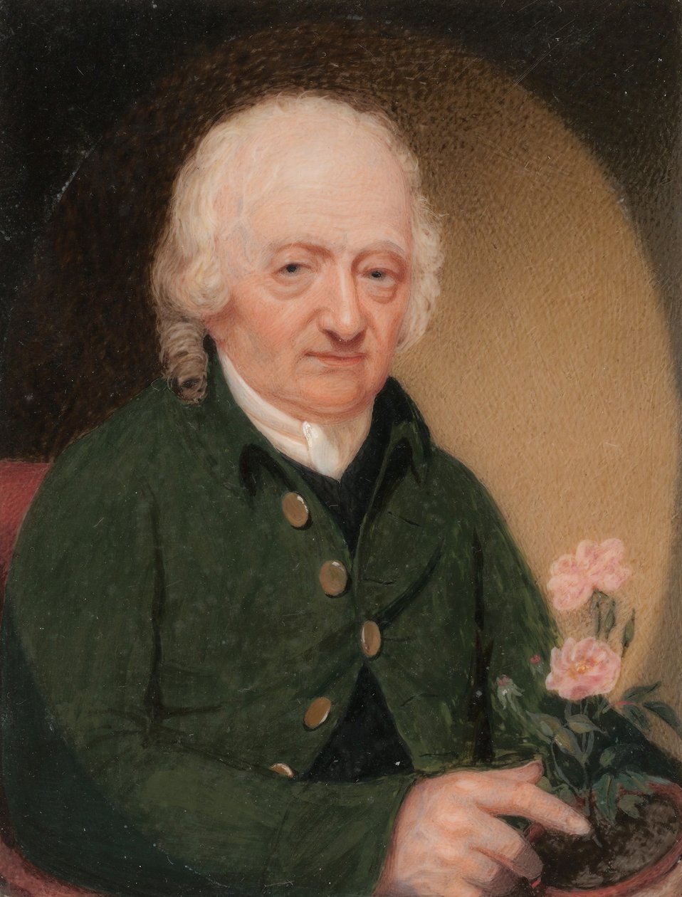 Gentlemanin muotokuva, n. 1810-15. tekijältä Unbekannt